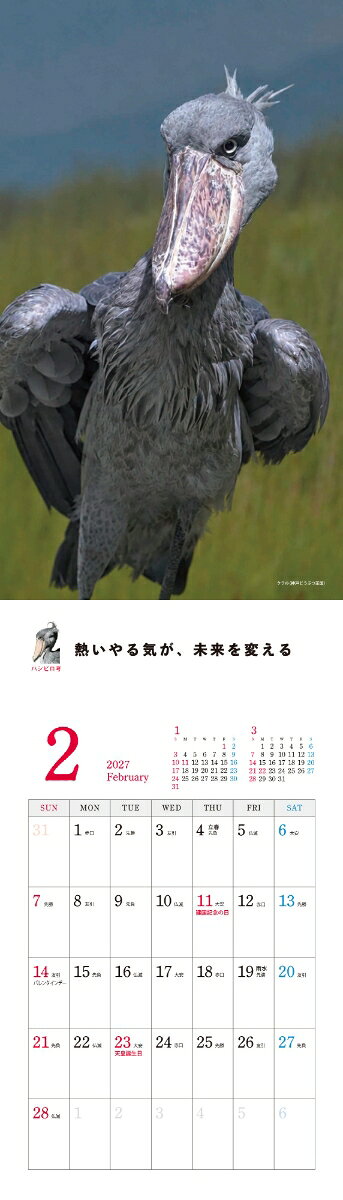 2027 ハシビロコウカレンダー [ 南幅俊輔Presents ] (3)