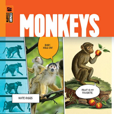 Monkeys MONKEYS [ Kate Riggs ]