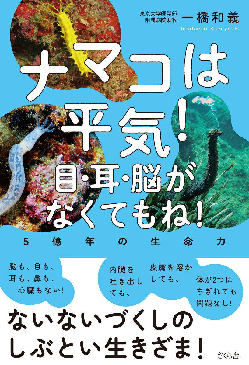 ナマコは平気！目・耳・脳がなくてもね！