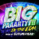 BIG PAAARTYY!! IN THE EDM mixed by DJ FUMI★YEAH! [ DJ FUMI★YEAH! ]