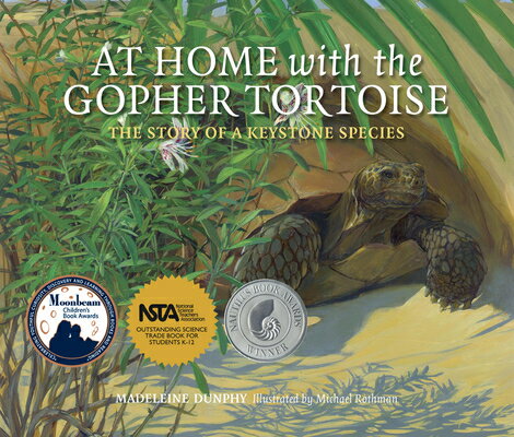 At Home with the Gopher Tortoise: The Story of a Keystone Species AT HOME W/THE GOPHER TORTOISE （Story of a Keystone Species） [ Madeleine Dunphy ]