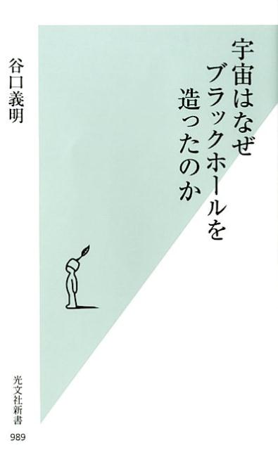 宇宙はなぜブラックホールを造ったのか （光文社新書） 