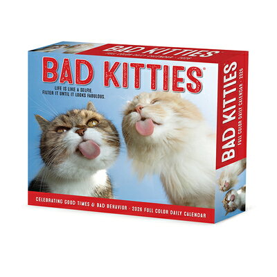 Bad Kitties 2026 Box Calendar BAD KITTIES 2026 54 X 62 BOX C [ Willow Creek Press ]