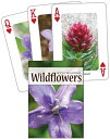 Wildflowers of the Rocky Mountains Playing Cards WILDFLOWERS OF THE ROCKY MOUNT ...