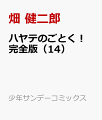 ハヤテのごとく！ 完全版（14）