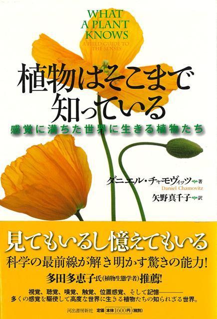 【バーゲン本】植物はそこまで知っているー感覚に満ちた世界に生きる植物たち