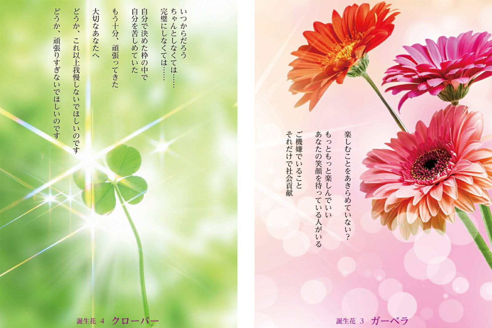 生年月日で導かれた12の花が起こす小さな奇跡【...の紹介画像2