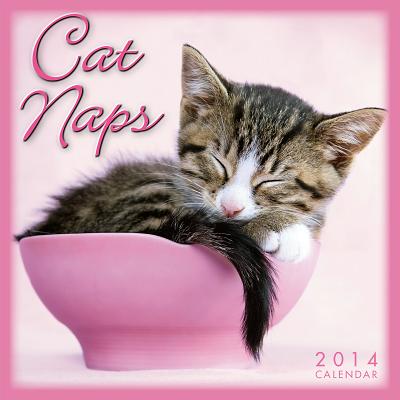 Cat Naps CAL 2014-CAT NAPS-MINI [ Sellers Publishi ...