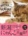 帰ってきた!新潟にゃんこ大好き!!