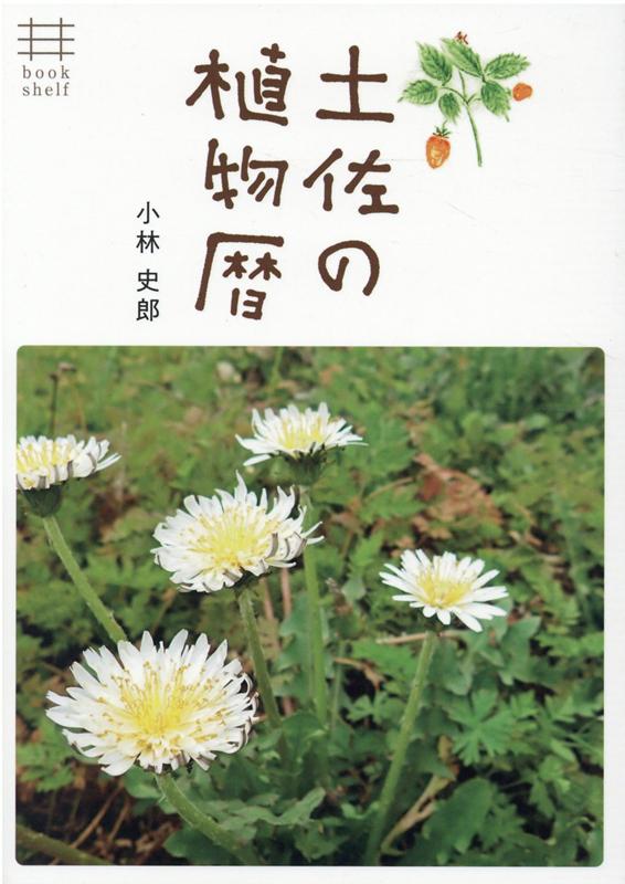 身近な草花300〈郊外〉 （ポケット図鑑） [ 亀田龍吉 ]