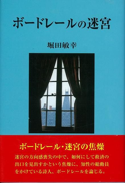 【バーゲン本】ボードレールの迷宮　改訂版