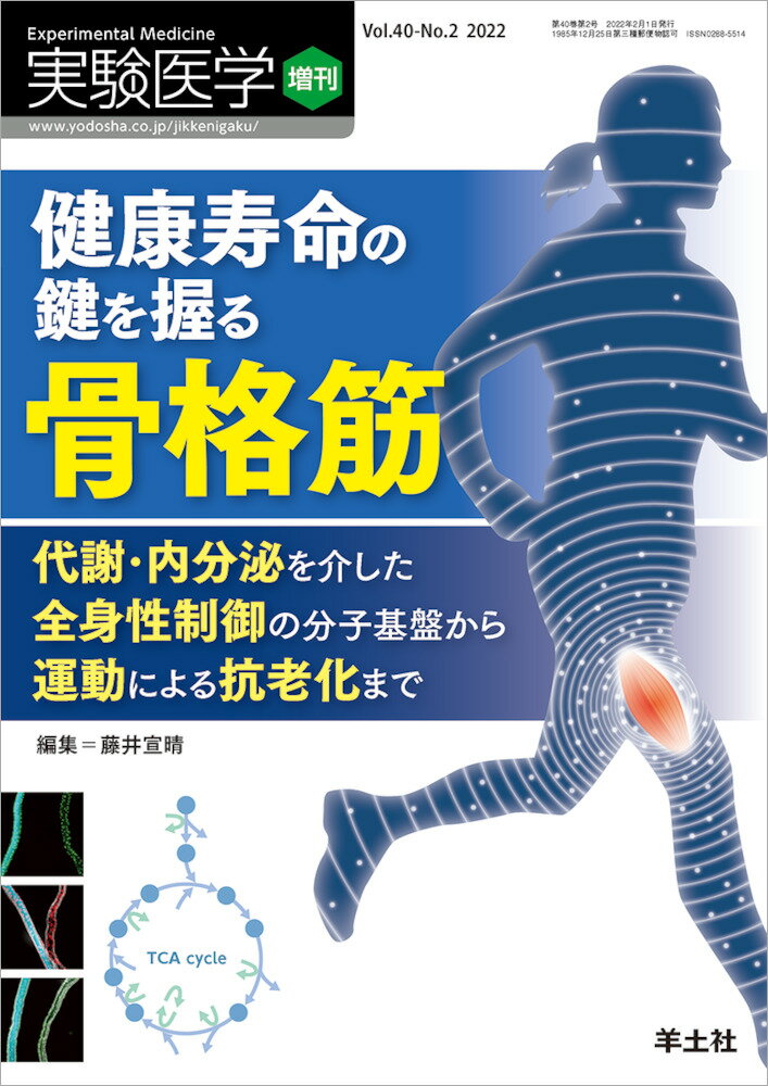 健康寿命の鍵を握る骨格筋 （実験医学増刊） [ 藤井　宣晴 ]