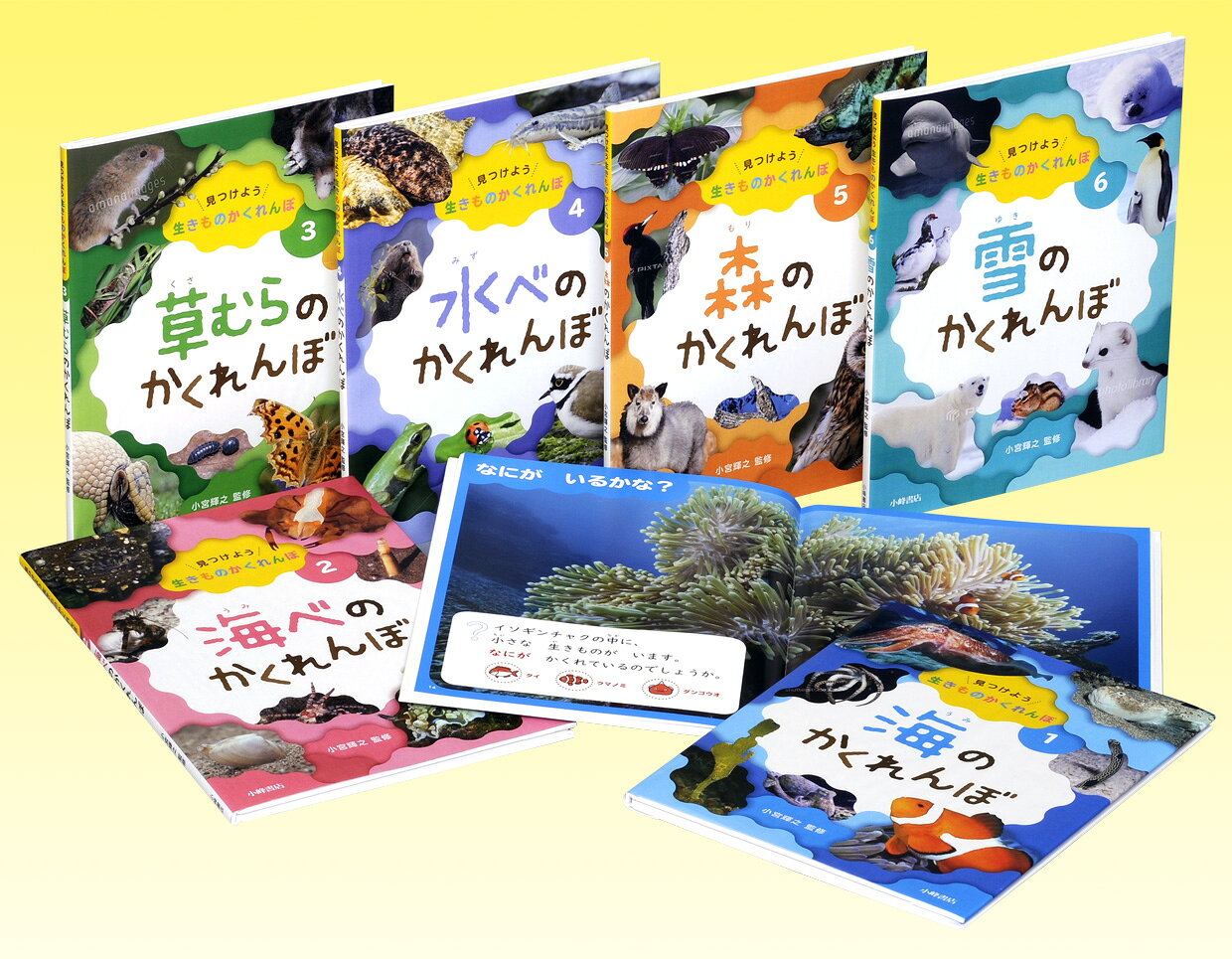 小学1年生「国語」の副読本としておすすめのシリーズ。海、草むら、川、森にすむさまざまな生きものが、姿を変えたり、穴に潜ったりして「かくれんぼ」をしている様子を美しい写真で紹介。何が、どこにかくれているのかを写真の中から探すことで、クイズのように楽しめます。また、生きものたちが、なぜ、どのようにかくれるのかをわかりやすく説明し、生きものたちが命を守るために知恵を絞り力を尽くしていることを伝えます。

【セット内訳】
(1) 海のかくれんぼ
(2) 海べのかくれんぼ
(3) 草むらのかくれんぼ
(4) 水べのかくれんぼ
(5) 森のかくれんぼ
(6) 雪のかくれんぼ
