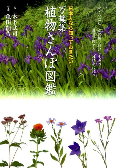 【謝恩価格本】万葉集　植物さんぽ図鑑