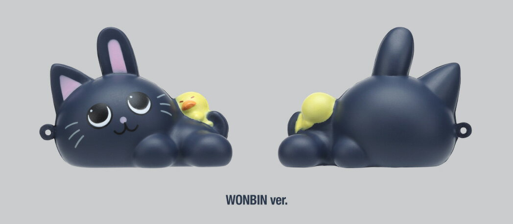 RIIZE SQUISHY (WONBIN)