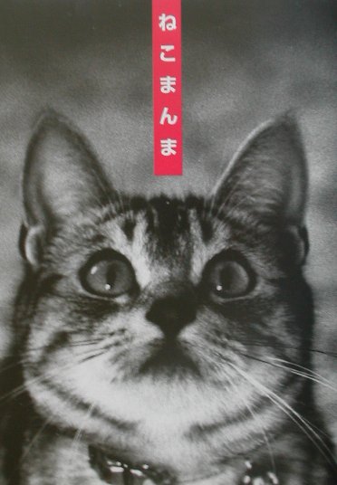 ねこまんま（ねこはまんまが美しい）