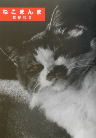 ねこまんま（おかわり）