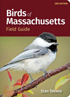 Birds of Massachusetts Field Guide BIRDS OF MASSACHUSETTS FIELD G （Bird Identification Guides） [ Stan Tekiela ]