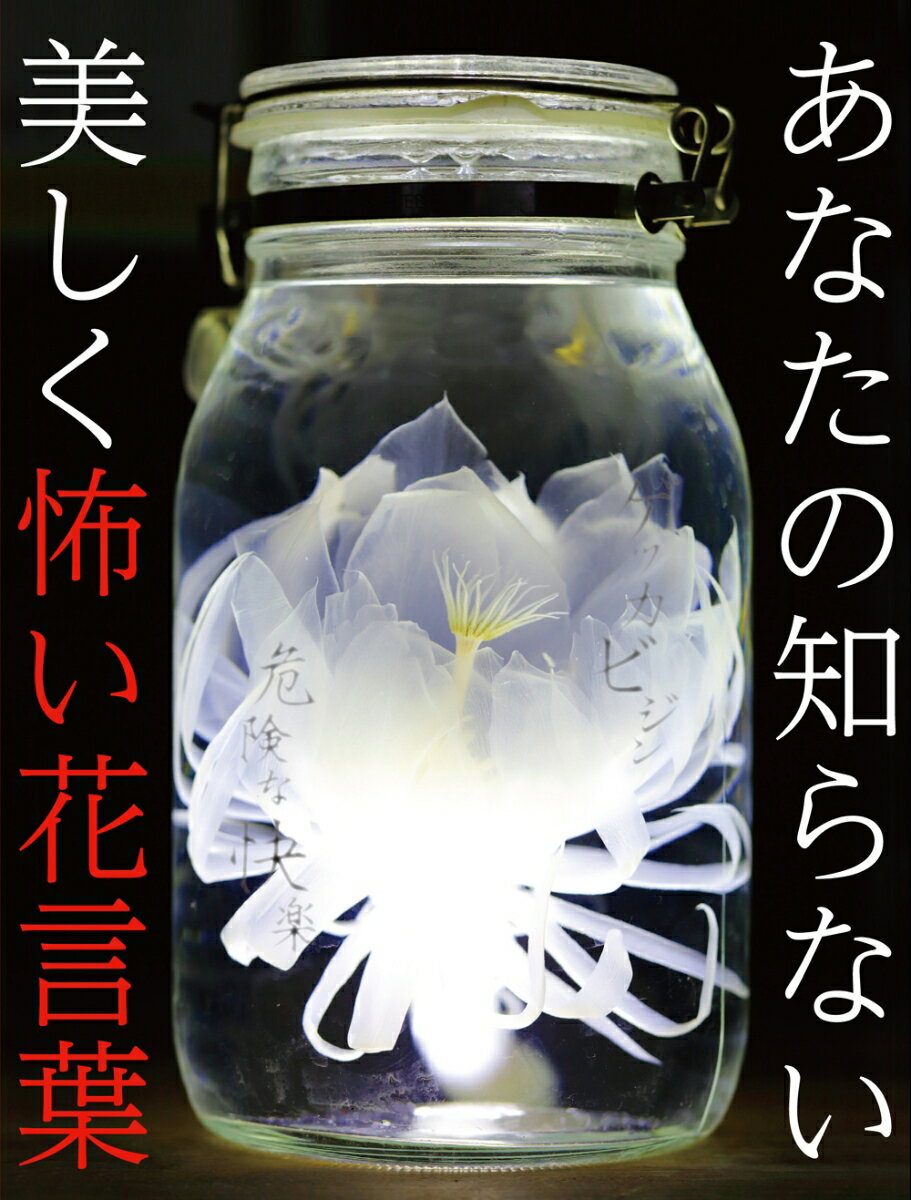 ニゲラの花言葉は怖いって本当 由来や花の特徴について調べてみた Erma S Flower Note