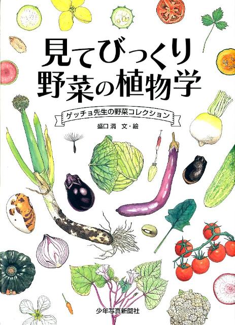 【謝恩価格本】見てびっくり 野菜の植物学 ゲッチョ先生の野菜コレクション