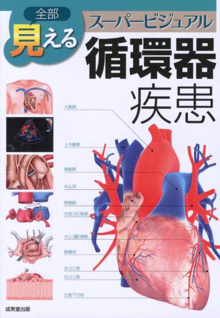 診察、検査から病態生理、治療法まで豊富なビジュアルと読みやすい文章で循環器疾患をわかりやすく解説。主要兆候から疾患を探せる早引きチャート付き。