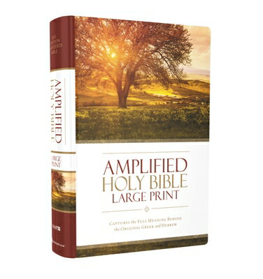 Amplified Bible-Am-Large Print: Captures the Full Meaning Behind the Original Greek and Hebrew B-AM-ZON LP Zondervan