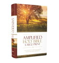 Amplified Bible-Am-Large Print: Captures the Full Meaning Behind the Original Greek and Hebrew B-AM-ZON LP 