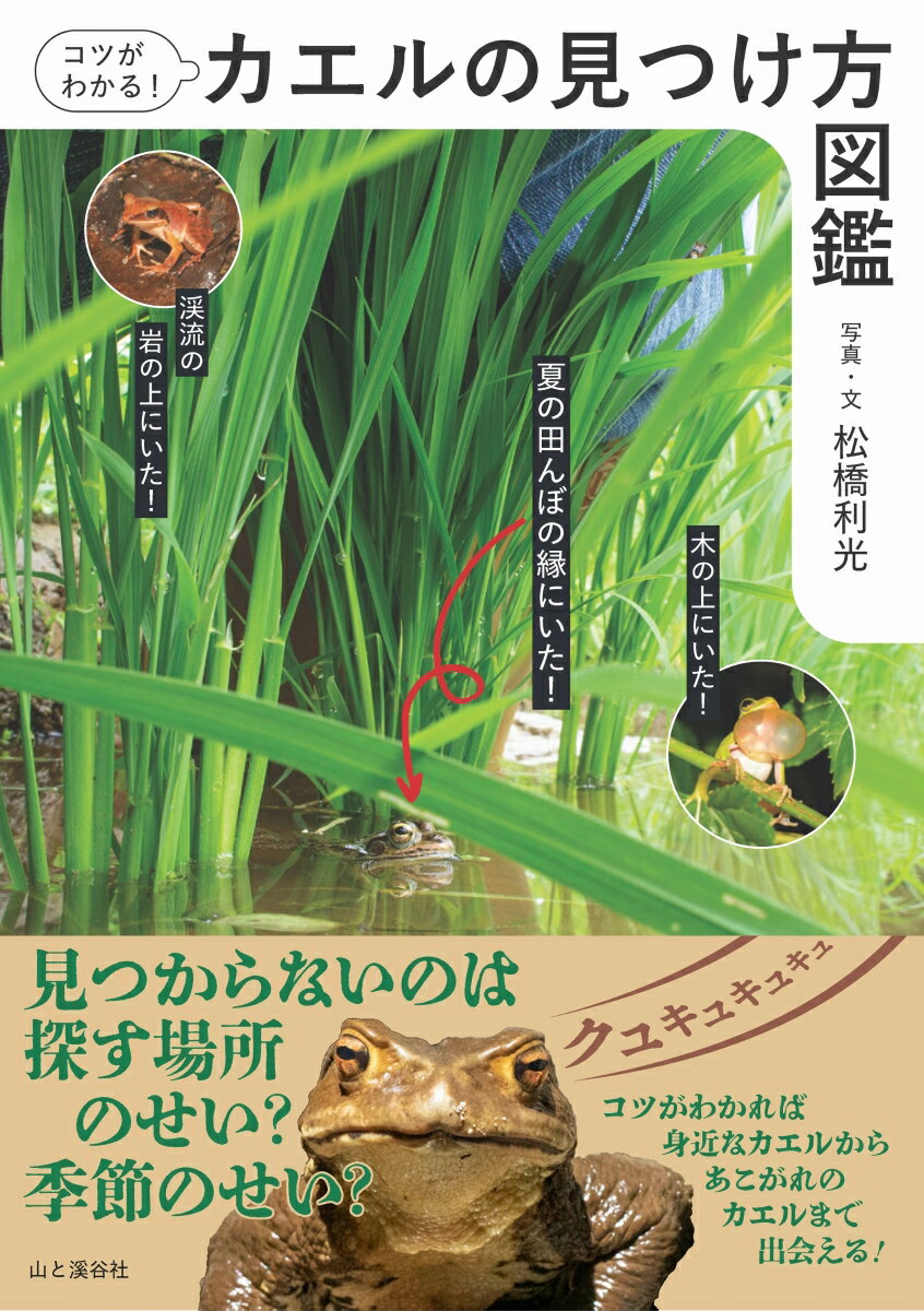 楽天市場】日本 カエル 図鑑の通販 楽天市場】日本 カエル 図鑑の通販