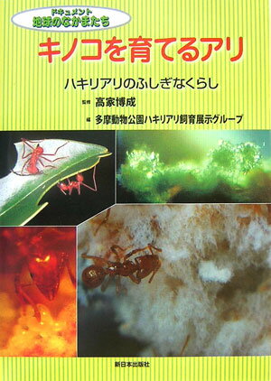 キノコを育てるアリ ハキリアリのふしぎなくらし （ドキュメント地球のなかまたち） [ 多摩動物公園（東京都） ]