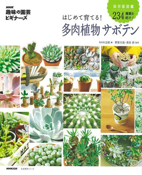 【バーゲン本】はじめて育てる!多肉植物サボテン