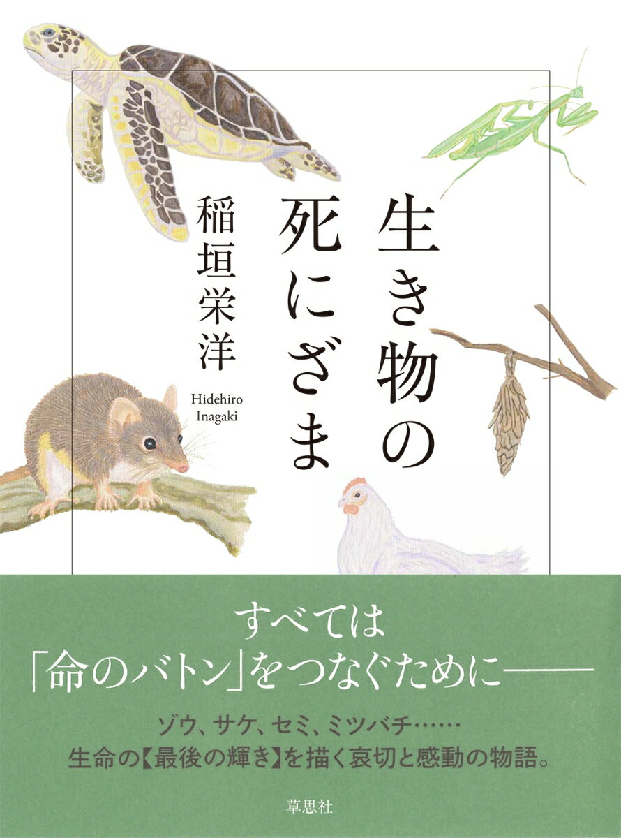 すべては「命のバトン」をつなぐためにーゾウ、サケ、セミ、ミツバチ…生命の“最後の輝き”を描く哀切と感動の物語。