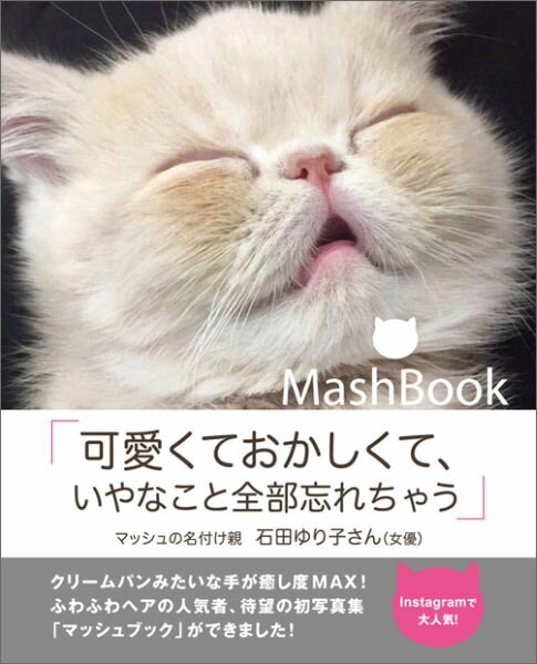 MashBook