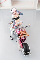 アーマーガールズプロジェクト すーぱーそに子 with すーぱーバイクロボ （ 10th Anniversary ver.）