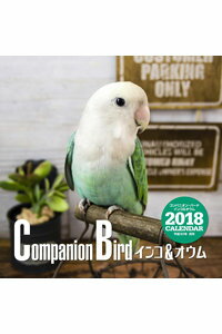 【特価販売】2018年大判カレンダー コンパニオン・バード インコ＆オウム