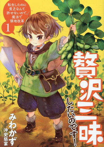 贅沢三昧したいのです！　転生したのに貧乏なんて許せないので、魔法で領地改革 （アース・スターノベル） [ みわかず ]