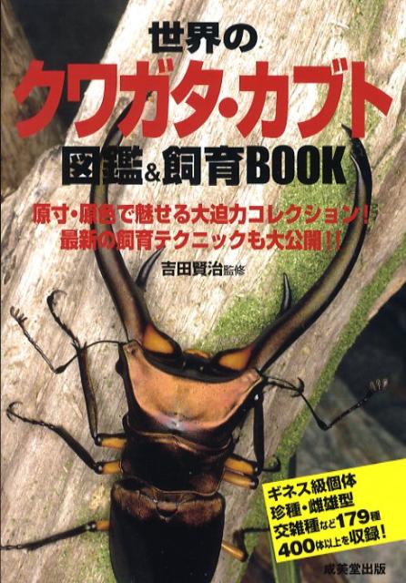世界のクワガタ・カブト図鑑＆飼育book