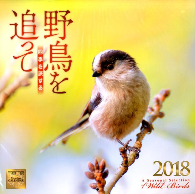 野鳥を追って（2018）
