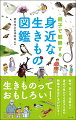 親子で生きもの観察を楽しもう！身の周りで見かける生きものを中心に３０４種（画像掲載種）を掲載。生きものの名前、生態や特徴、出会い率、見られる場所や時期についてやさしく解説しました。生きものを７種類に分類し、鳥、昆虫、クモ、そのほかの生きもの、ほ乳類、は虫類・両生類、水辺の生きものを収録。観察のポイントや似ている生きものとの見分け方なども紹介。生きものに詳しい山田先生と佐野先生が、観察の楽しみ方をレクチャーしてくれます。