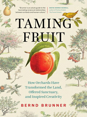 ŷ֥å㤨Taming Fruit: How Orchards Have Transformed the Land, Offered Sanctuary, and Inspired Creativity TAMING FRUIT [ Bernd Brunner ]פβǤʤ4,752ߤˤʤޤ