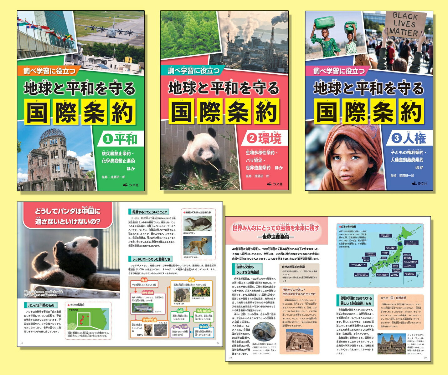 調べ学習に役立つ　地球と平和を守る 国際条約（全3巻セット） [ 遠藤研一郎 ](3.0)