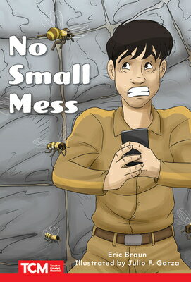 No Small Mess: Level 1: Book 7 NO SMALL MESS （Decodable Books: Read & Succeed） 
