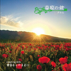 �𸶤θ� [ ����� ]