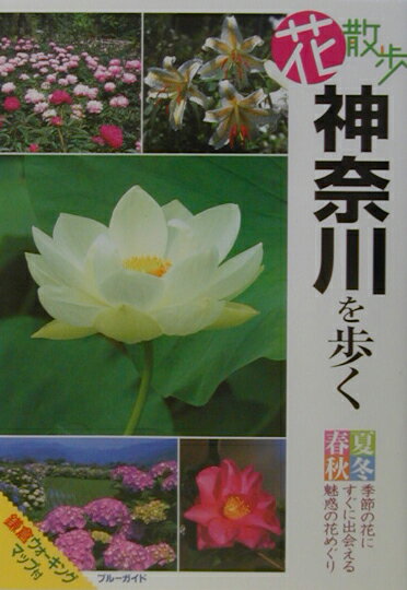 花散歩神奈川を歩く （ブル-ガイド） [ 実業之日本社 ]のサムネイル
