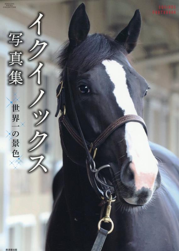 【中古】競馬漂流記 /ミデアム出版社/高橋源一郎（単行本）