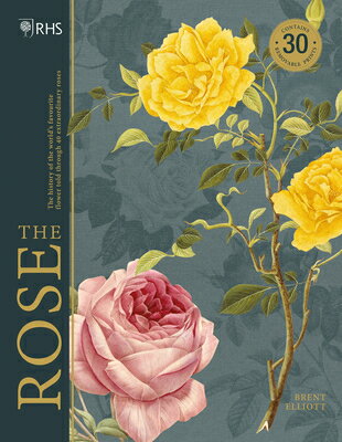 RHS:THE ROSE(H) [ BRENT ELLIOTT ]