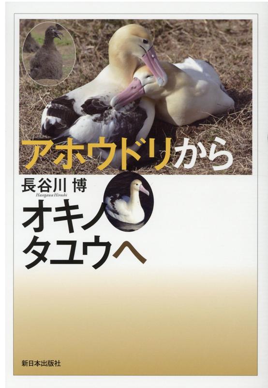 アホウドリからオキノタユウへ 50羽から5000羽へ 