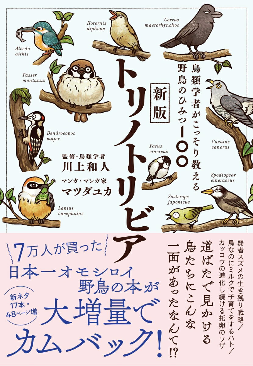 新版トリノトリビア 鳥類学者がこっそり教える野鳥のひみつ100