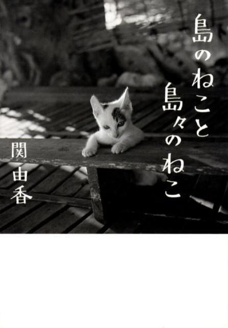 島のねこと島々のねこ