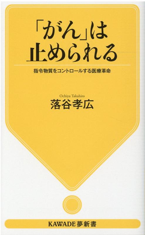 デザインのネタ帳 コピペで使える動くwebデザインパーツ / 矢野みち子 【本】