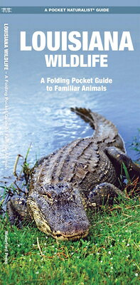 Perfect for nature enthusiasts, this copiously illustrated exploration examines more than 140 species of birds, mammals, reptiles, amphibians, fishes, butterflies and insects, and crustaceans and contains a map featuring prominent, state-wide wildlife sanctuaries. Laminated for durability, it is a great source of portable information and ideal for field use by novices and experts alike.
